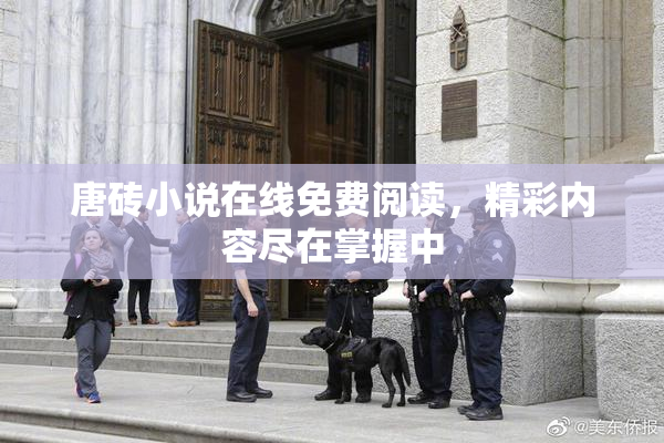 唐砖小说在线免费阅读，精彩内容尽在掌握中
