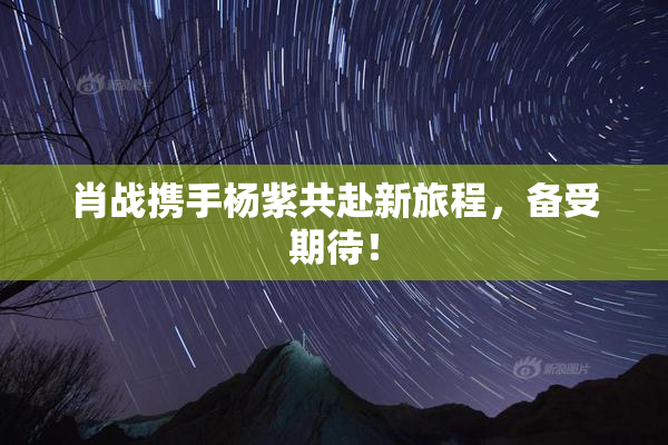 肖战携手杨紫共赴新旅程，备受期待！
