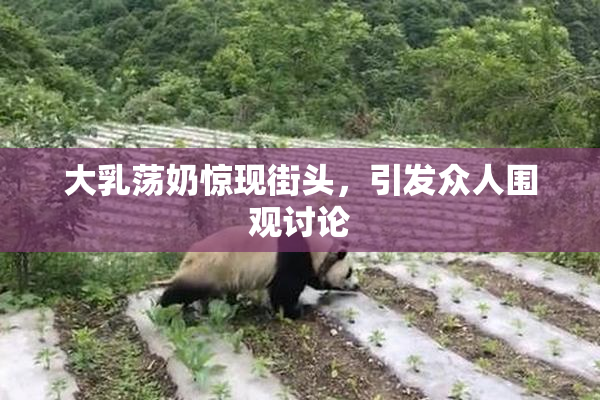 大乳荡奶惊现街头，引发众人围观讨论