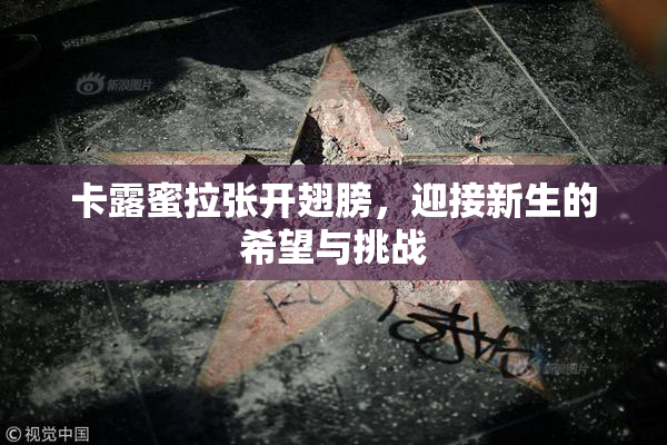 卡露蜜拉张开翅膀，迎接新生的希望与挑战