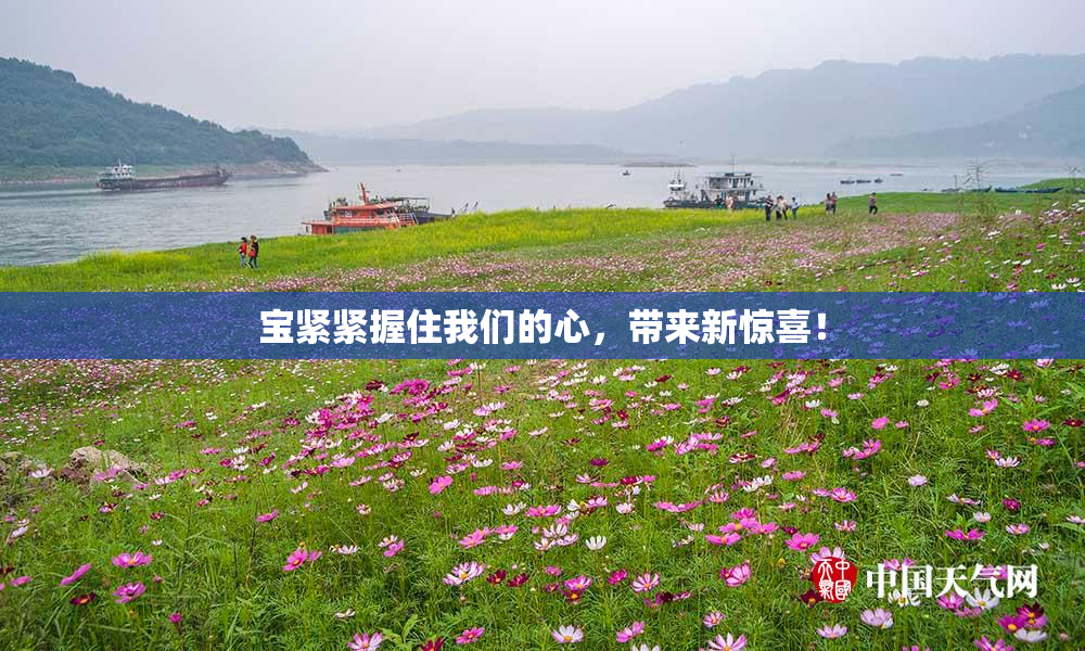 宝紧紧握住我们的心，带来新惊喜！