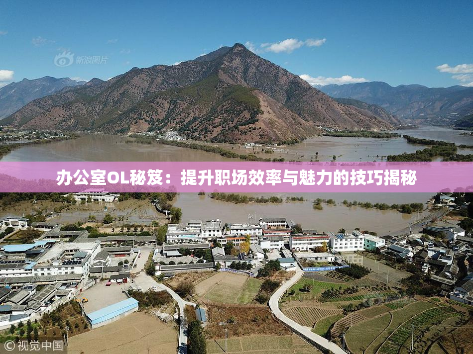 办公室OL秘笈：提升职场效率与魅力的技巧揭秘