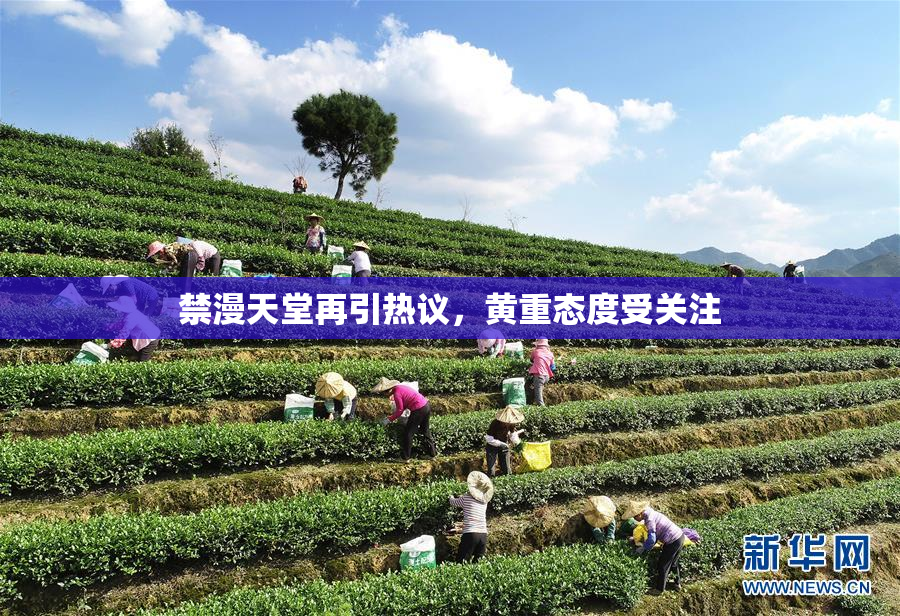 禁漫天堂再引热议，黄重态度受关注