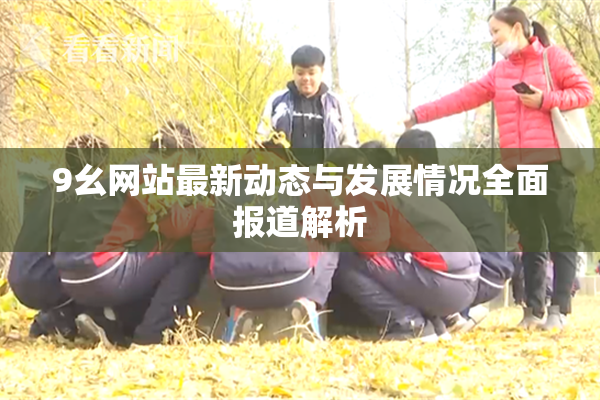 9幺网站最新动态与发展情况全面报道解析
