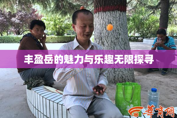 丰盈岳的魅力与乐趣无限探寻
