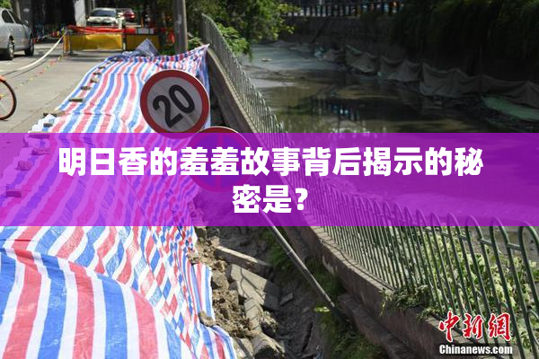 明日香的羞羞故事背后揭示的秘密是？