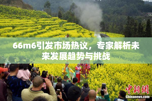 66m6引发市场热议，专家解析未来发展趋势与挑战