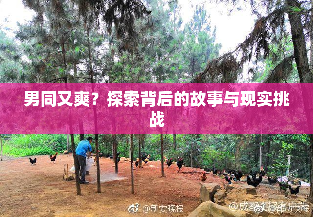 男同又爽？探索背后的故事与现实挑战