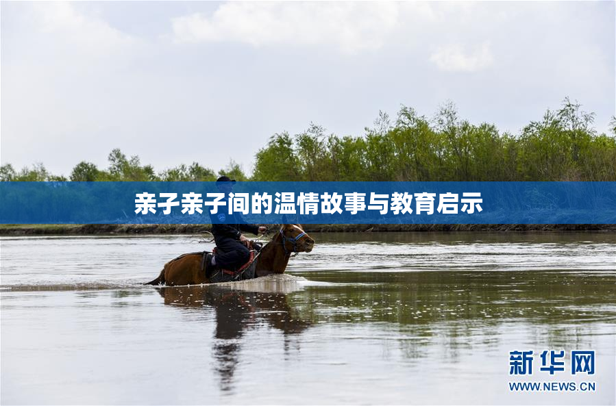 亲孑亲子间的温情故事与教育启示