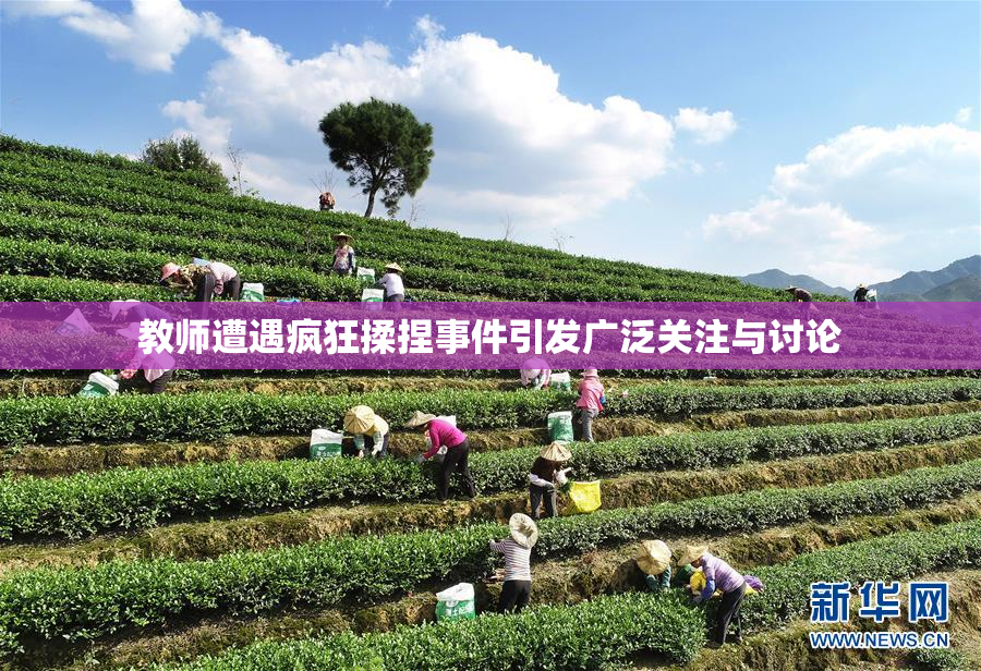 教师遭遇疯狂揉捏事件引发广泛关注与讨论