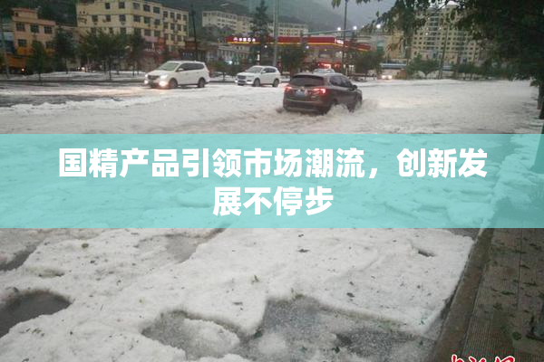 国精产品引领市场潮流，创新发展不停步