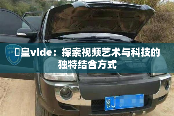 嘼皇vide：探索视频艺术与科技的独特结合方式