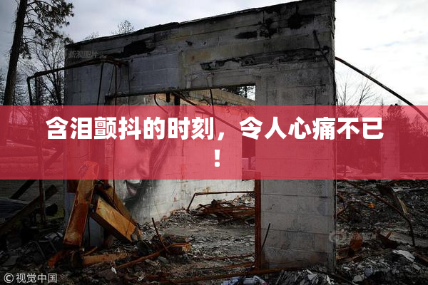 含泪颤抖的时刻，令人心痛不已！