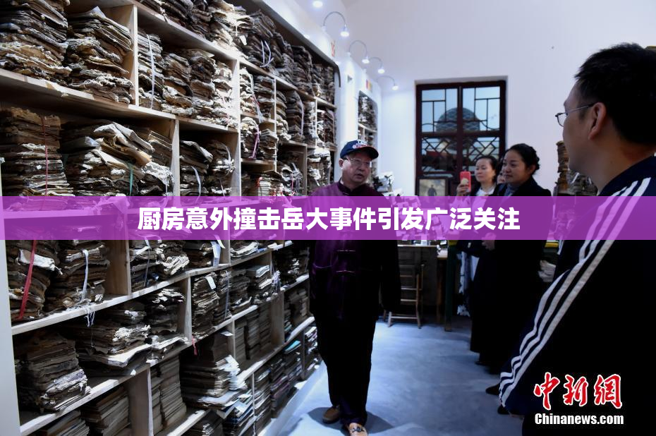 厨房意外撞击岳大事件引发广泛关注