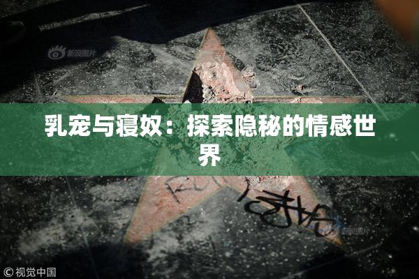 乳宠与寝奴：探索隐秘的情感世界