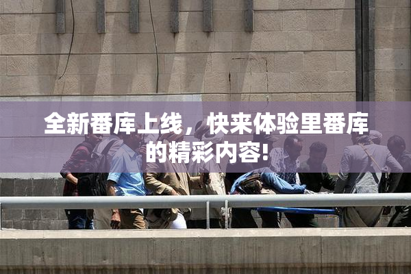 全新番库上线，快来体验里番库的精彩内容!