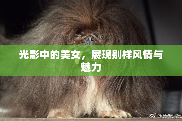 光影中的美女，展现别样风情与魅力