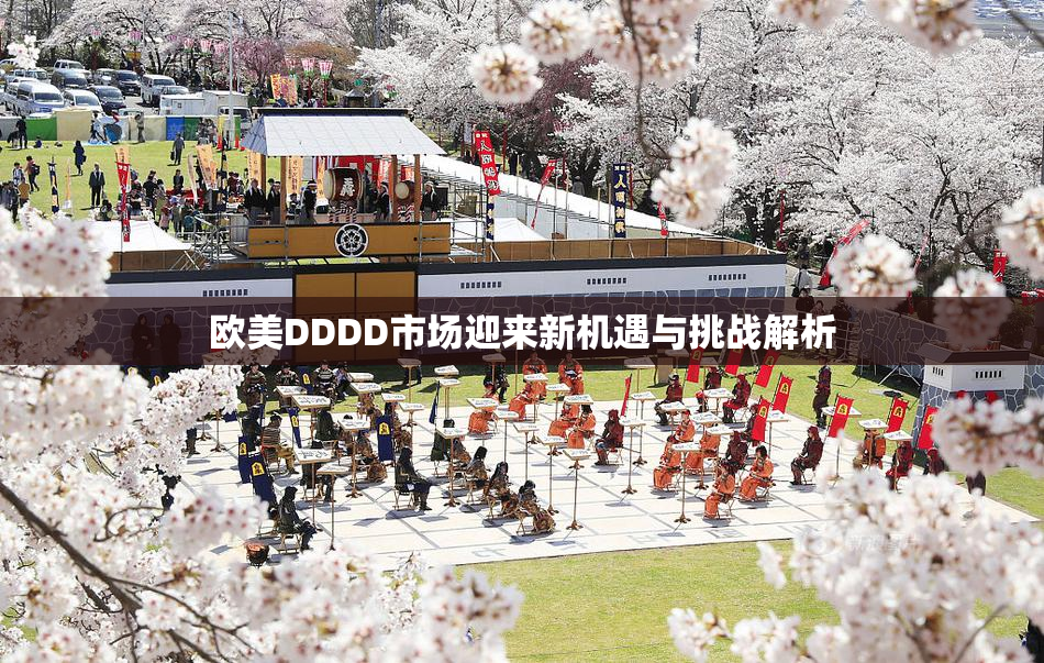 欧美DDDD市场迎来新机遇与挑战解析