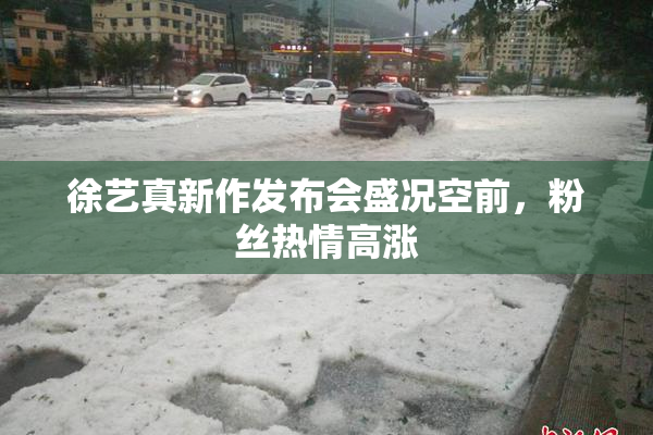徐艺真新作发布会盛况空前，粉丝热情高涨