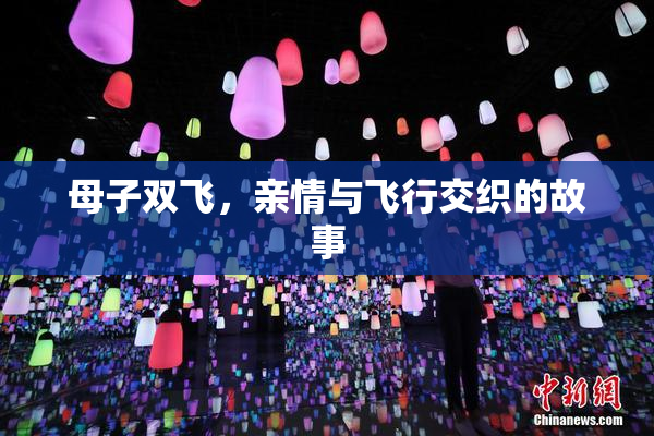 母子双飞，亲情与飞行交织的故事