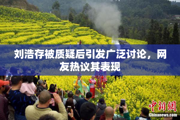刘浩存被质疑后引发广泛讨论，网友热议其表现