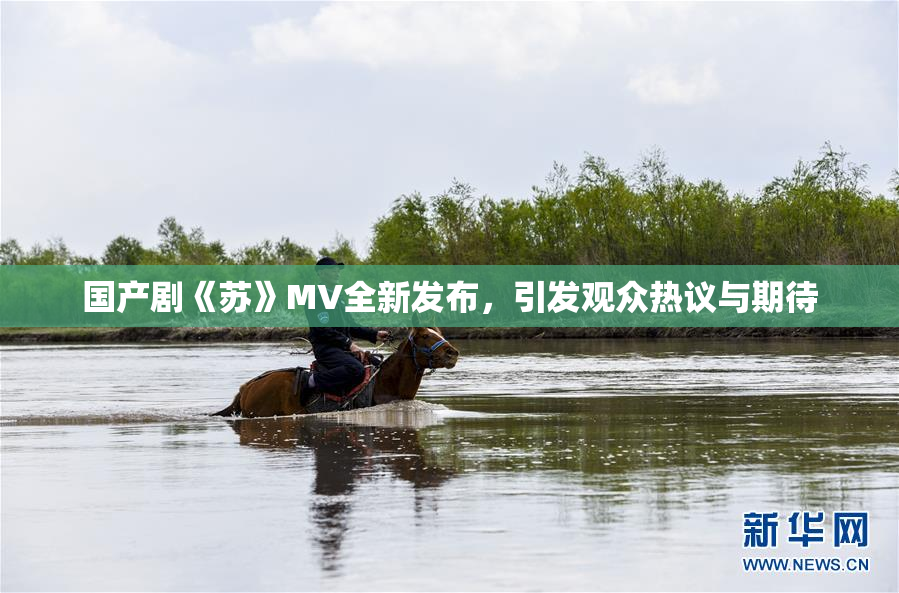 国产剧《苏》MV全新发布，引发观众热议与期待