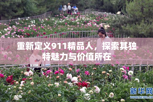 重新定义911精品人，探索其独特魅力与价值所在