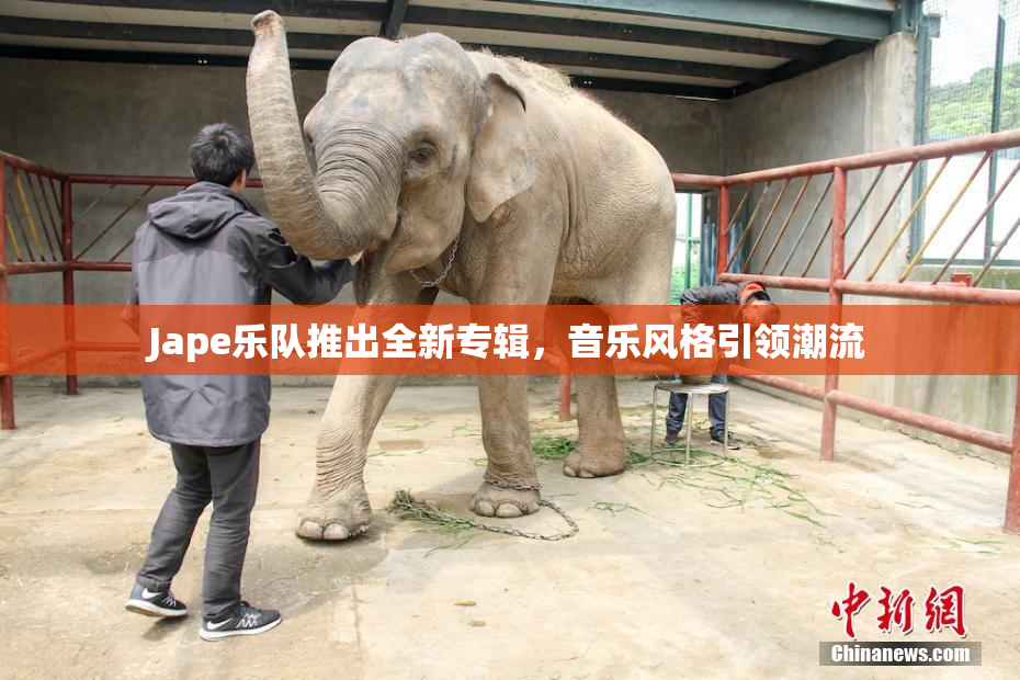 Jape乐队推出全新专辑，音乐风格引领潮流