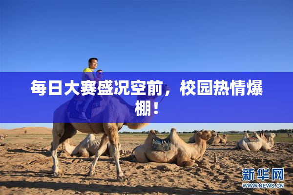 每日大赛盛况空前，校园热情爆棚！