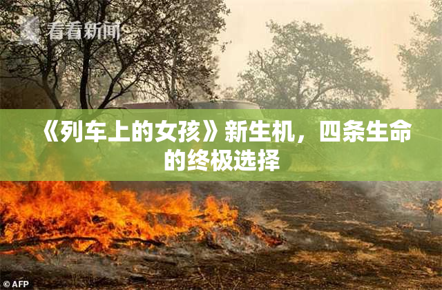 《列车上的女孩》新生机，四条生命的终极选择