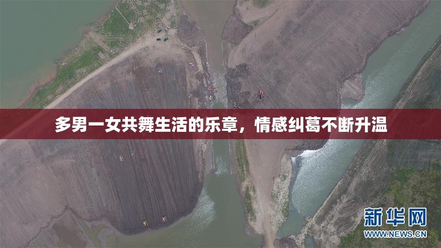 多男一女共舞生活的乐章，情感纠葛不断升温
