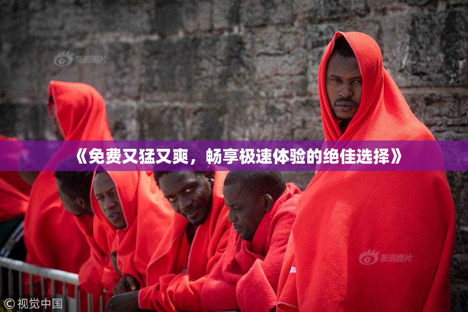 《免费又猛又爽，畅享极速体验的绝佳选择》