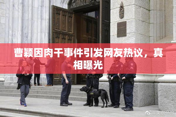 曹颖因肉干事件引发网友热议，真相曝光