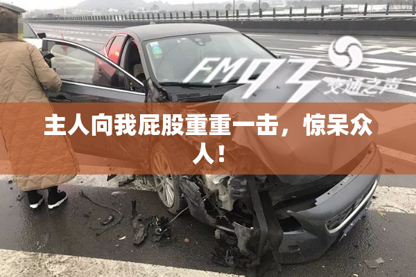 主人向我屁股重重一击，惊呆众人！