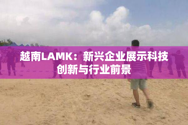越南LAMK：新兴企业展示科技创新与行业前景