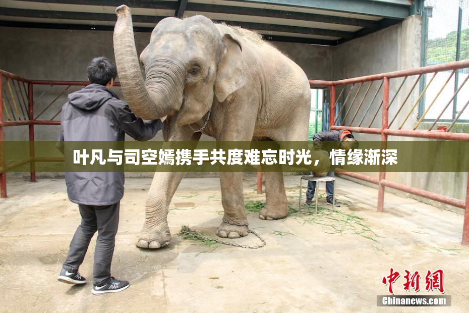 叶凡与司空嫣携手共度难忘时光，情缘渐深