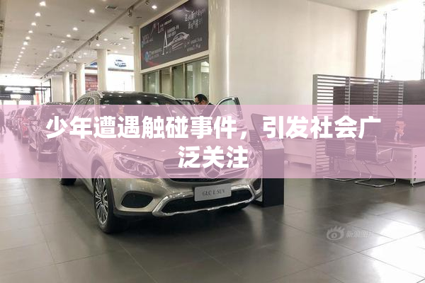 少年遭遇触碰事件，引发社会广泛关注