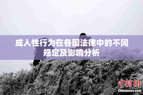 成人性行为在各国法律中的不同规定及影响分析