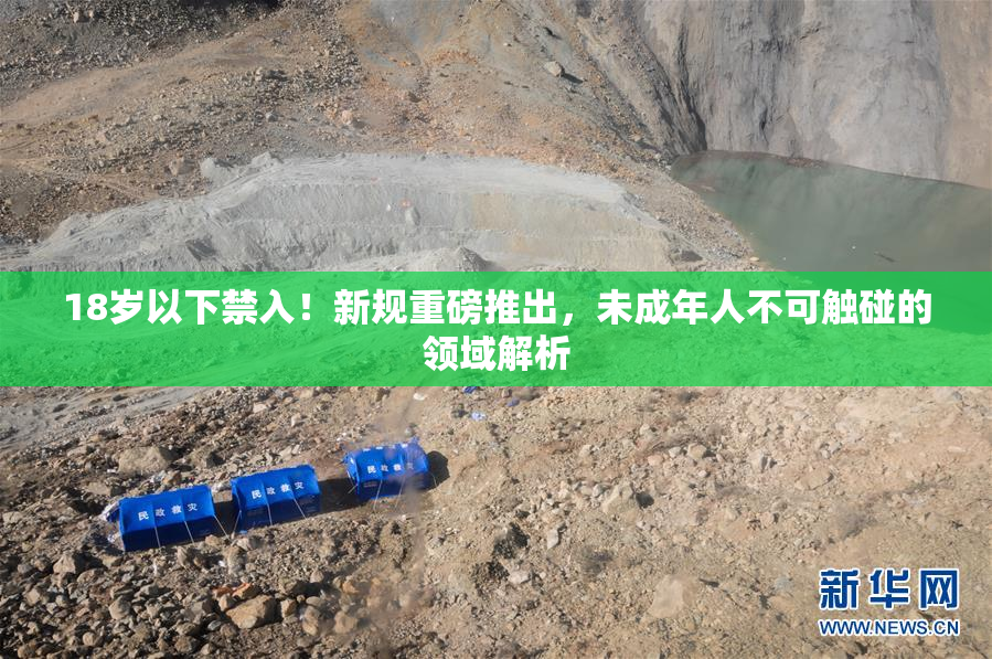 18岁以下禁入！新规重磅推出，未成年人不可触碰的领域解析