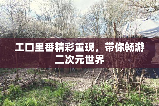 工口里番精彩重现，带你畅游二次元世界