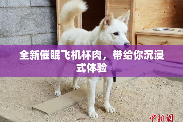 全新催眠飞机杯肉，带给你沉浸式体验