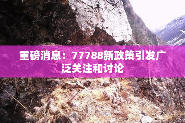 重磅消息：77788新政策引发广泛关注和讨论