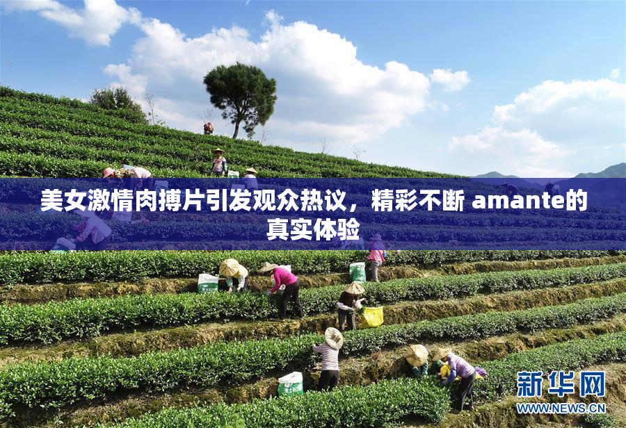 美女激情肉搏片引发观众热议，精彩不断 amante的真实体验
