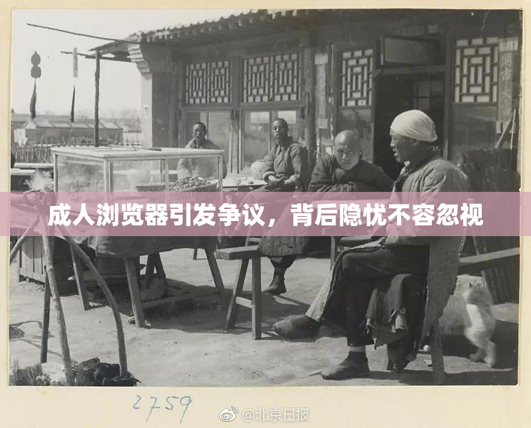 成人浏览器引发争议，背后隐忧不容忽视