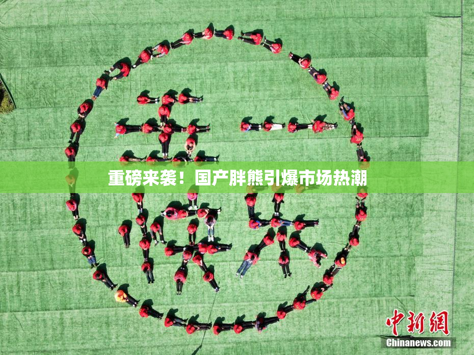 重磅来袭！国产胖熊引爆市场热潮