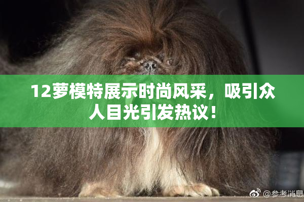 12萝模特展示时尚风采，吸引众人目光引发热议！