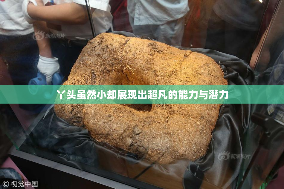 丫头虽然小却展现出超凡的能力与潜力