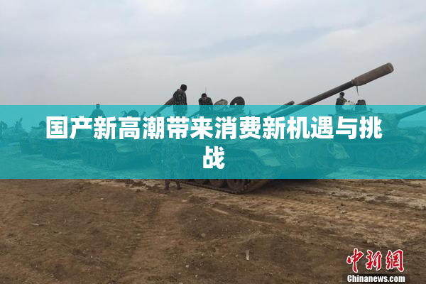 国产新高潮带来消费新机遇与挑战