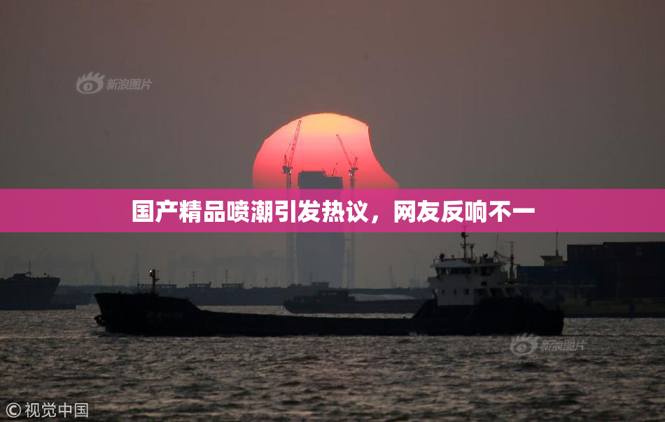 国产精品喷潮引发热议，网友反响不一