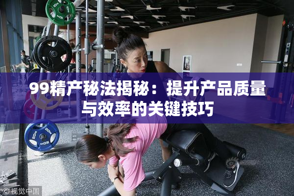99精产秘法揭秘：提升产品质量与效率的关键技巧